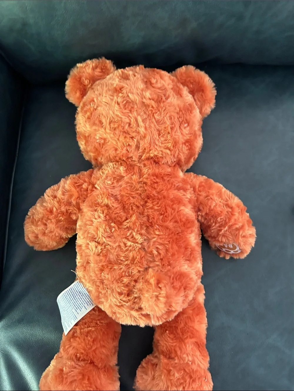 Build-A-Bear comes accessories
